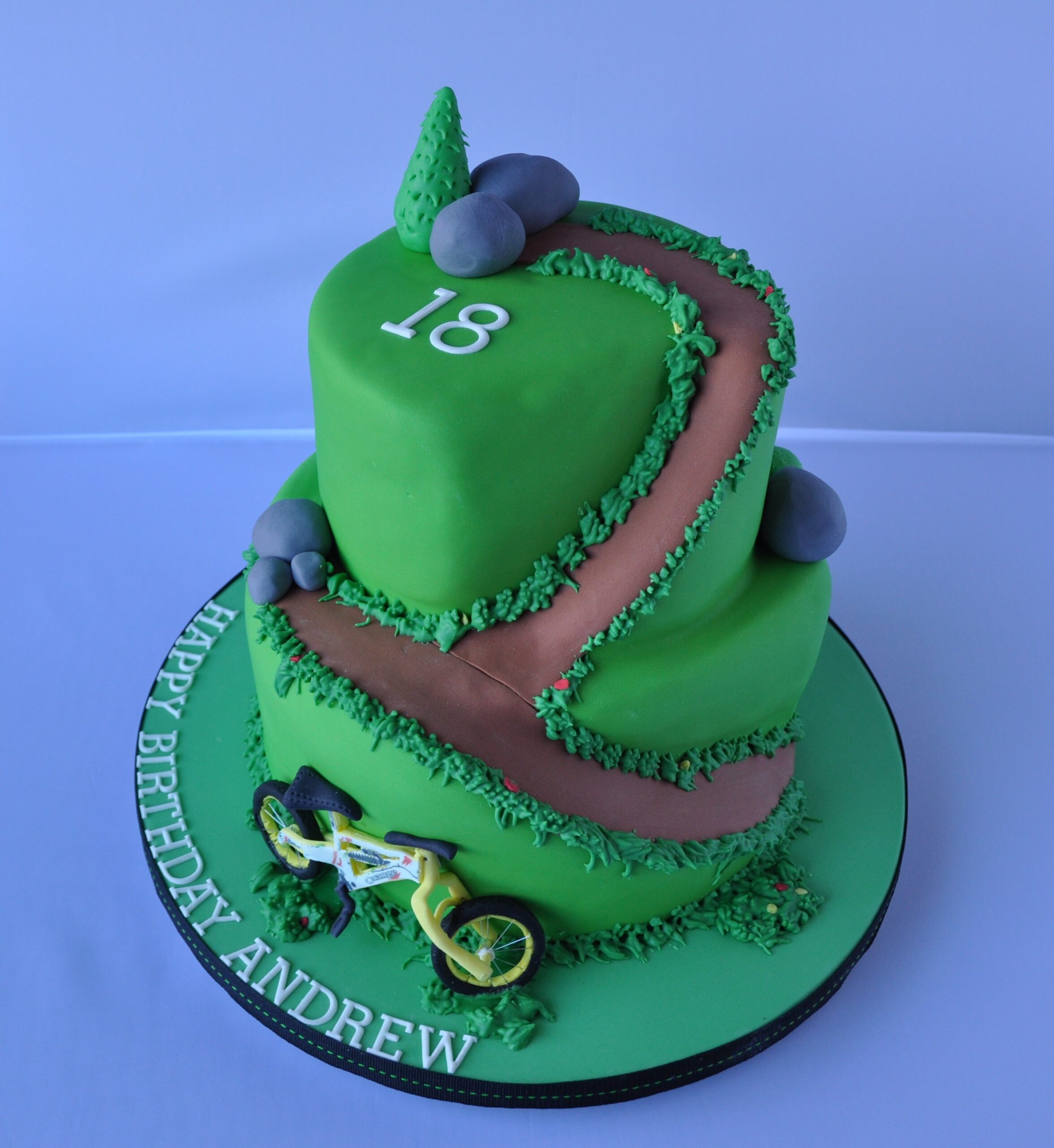 Mountain bike cake